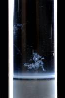 Méduse d'ADN d'oignon (extraction de l'ADN)